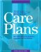  Big Book of Care Plans: Best Practices for Interdisciplinary Assessment And Care Planning, the