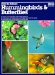  How to Attract Hummingbirds & Butterflies