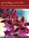  Growing Orchids: Successful Gardening Indoors and Out