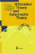  Bifurcation Theory and Catastrophe Theory