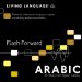  Flash Forward Arabic Vocabulary
