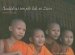  Buddhist Temple Life in Laos: Wat Lok Pa Luang