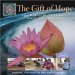 The Gift of Hope in the Wake of the 2004 Tsunami And 2005 Hurricanes