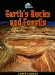  Earth's Rocks and Fossils