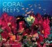  Coral Reefs: Ecology, Threats, & Conservation
