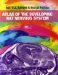  Atlas of the Developing Rat Nervous System