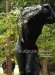  Sculpture Woods: Studio Grounds of Ann Morris
