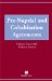  Pre-Marital Agreements