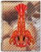  Jeff Koons