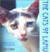 The Cats of Lamu