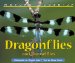  Dragonflies And Damselflies