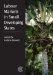  Labour Markets in Small Developing States