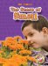 The Sense Of Smell