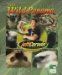  Into Wild Panama