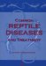  Common Reptile Diseases and Treatment