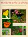  Florida Butterfly Gardening: A Complete Guide to Attracting, Identifying, and Enjoying Butterflies of the Lower South