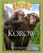  Korow: A Baby Chimpanzee's Story