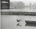  Picture Mumbai: Landmarks of a New Generation