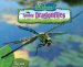  Speedy Dragonflies