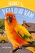  Secret of the Yellow Van