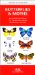  Butterflies & Moths: An Introduction to Familiar North American Species