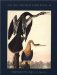  John James Audubon & Robert Havell, Jr: Artist's Proofs for The Birds of America