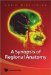A Synopsis of Regional Anatomy