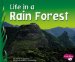  Life in a Rain Forest