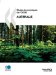  Etudes Economiques De L'ocde: Australie 2008
