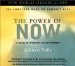 The Power of Now: A Guide to Spiritual Enlightenment