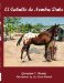 El Caballo de Nombre Duke/ A Horse Named Duke