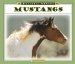  Mustangs