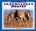  Przewalski's Horses
