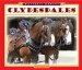  Clydesdales
