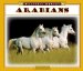  Arabians