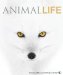  Animal Life