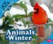  Animals in Winter