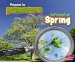  Veamos la primavera/ Let's Look at Spring