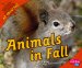 Animals in Fall