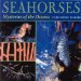  Seahorses: Mysteries of the Oceans