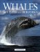  Whales, Dolphins and Porpoises
