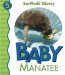  Baby Manatee