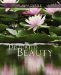  Distorted Beauty