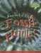  Journal of a Fossil Hunter: Fossils