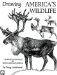  Drawing America's Wildlife: An Artist's Portfolio of North American Animals