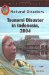  Tsunami Disaster In Indonesia, 2004