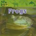  Frogs