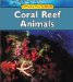  Coral Reef Animals