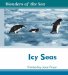  Icy Seas