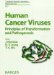  Human Cancer Viruses: Principles of Transformation and Pathogenesis